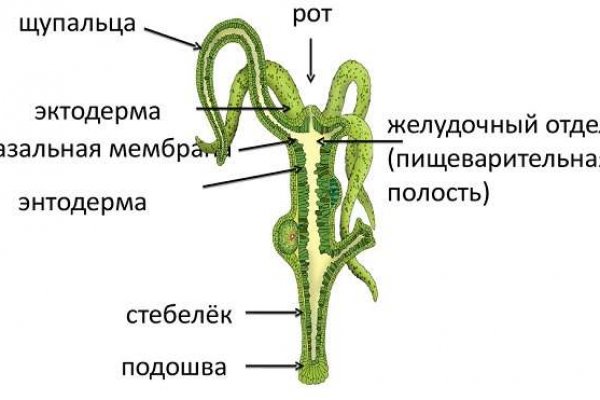 Нарко сайт кракен