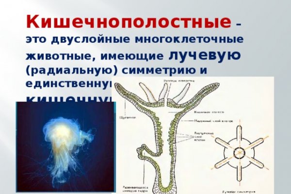 Что такое кракен сайт